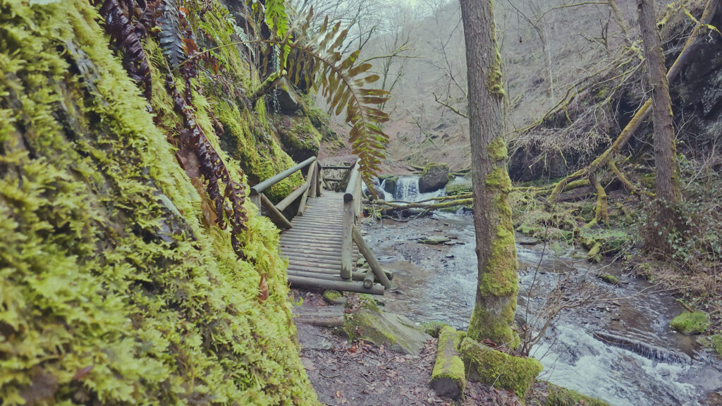 Ehrbachklamm_3